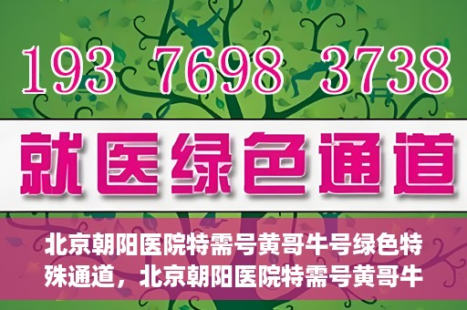 北京朝阳医院特需号黄哥牛号绿色特殊通道，北京朝阳医院特需号黄哥牛号，绿色特殊通道揭秘
