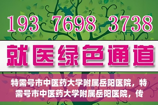 特需号市中医药大学附属岳阳医院，特需号市中医药大学附属岳阳医院，传统医学与现代医疗的交融之地