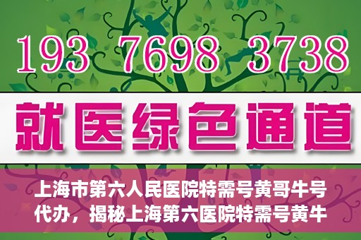 上海市第六人民医院特需号黄哥牛号代办，揭秘上海第六医院特需号黄牛现象，黄哥牛号代办背后的故事