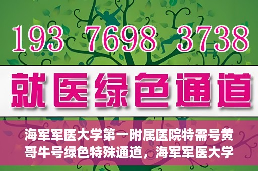海军军医大学第一附属医院特需号黄哥牛号绿色特殊通道，海军军医大学第一附属医院特需号黄哥牛号绿色通道，专属医疗服务的探索与实践