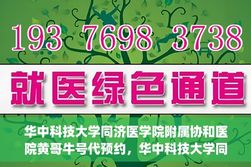 华中科技大学同济医学院附属协和医院黄哥牛号代预约，华中科技大学同济医学院附属协和医院预约服务揭秘，黄哥牛号代预约解析
