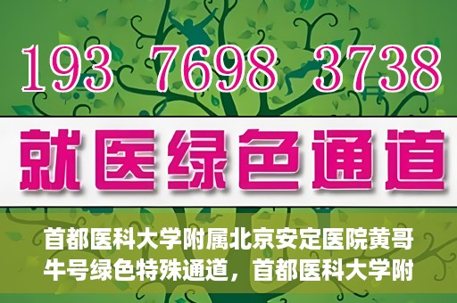 首都医科大学附属北京安定医院黄哥牛号绿色特殊通道，首都医科大学附属北京安定医院黄哥牛号绿色特殊通道，探索与实践