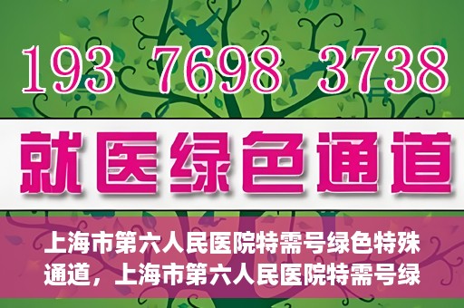 上海市第六人民医院特需号绿色特殊通道，上海市第六人民医院特需号绿色通道，打造高品质医疗服务体验
