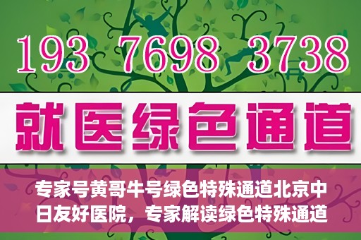 专家号黄哥牛号绿色特殊通道北京中日友好医院，专家解读绿色特殊通道，中日友好医院的黄哥牛号现象揭秘