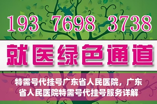 特需号代挂号广东省人民医院，广东省人民医院特需号代挂号服务详解