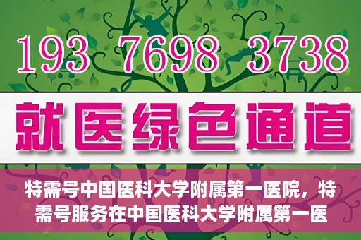 特需号中国医科大学附属第一医院，特需号服务在中国医科大学附属第一医院全面升级启动