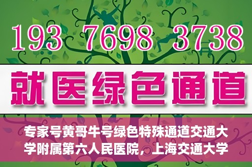 专家号黄哥牛号绿色特殊通道交通大学附属第六人民医院，上海交通大学附属第六人民医院专家号黄哥牛号开启绿色特殊通道，助力健康医疗事业前行。