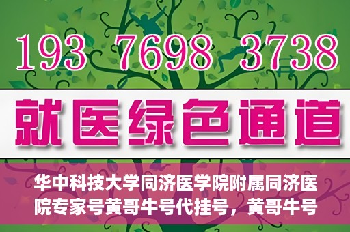 华中科技大学同济医学院附属同济医院专家号黄哥牛号代挂号，黄哥牛号代挂号，华中科技大学同济医院专家号解读与预约攻略
