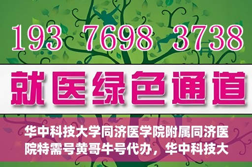 华中科技大学同济医学院附属同济医院特需号黄哥牛号代办，华中科技大学同济医院特需号专家黄哥牛号预约代办服务解析