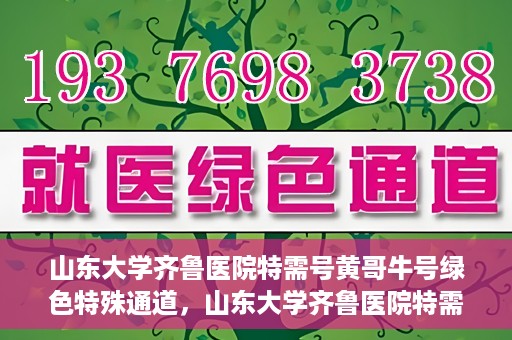 山东大学齐鲁医院特需号黄哥牛号绿色特殊通道，山东大学齐鲁医院特需号黄哥牛号，绿色就医通道揭秘