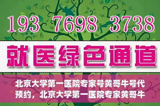 北京大学第一医院专家号黄哥牛号代预约，北京大学第一医院专家黄哥牛号预约攻略，专业解读与便捷预约渠道