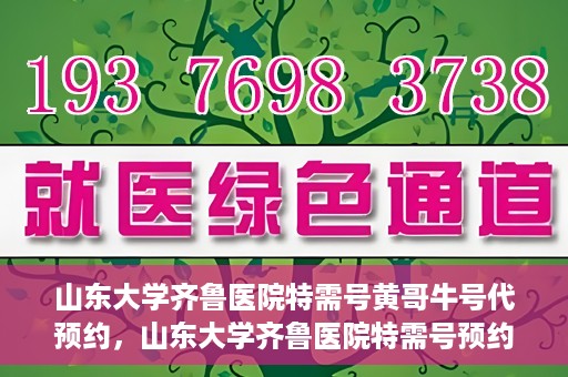 山东大学齐鲁医院特需号黄哥牛号代预约，山东大学齐鲁医院特需号预约服务解析，黄哥牛号代预约揭秘