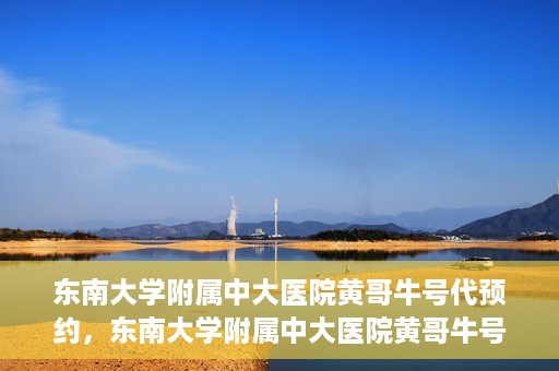 东南大学附属中大医院黄哥牛号代预约，东南大学附属中大医院黄哥牛号预约攻略