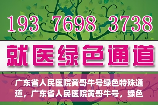 广东省人民医院黄哥牛号绿色特殊通道，广东省人民医院黄哥牛号，绿色特殊通道开启健康之门