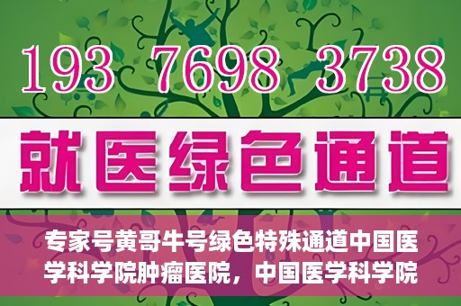 专家号黄哥牛号绿色特殊通道中国医学科学院肿瘤医院，中国医学科学院肿瘤医院专家号黄哥牛号绿色特殊通道揭秘