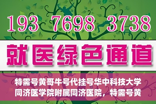 特需号黄哥牛号代挂号华中科技大学同济医学院附属同济医院，特需号黄哥牛号同济医院代挂号揭秘，同济医院就医攻略