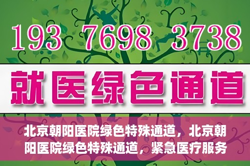 北京朝阳医院绿色特殊通道，北京朝阳医院绿色特殊通道，紧急医疗服务的速度与温情