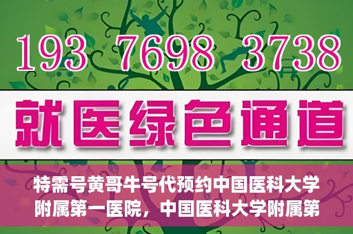 特需号黄哥牛号代预约中国医科大学附属第一医院，中国医科大学附属第一医院特需号黄哥牛号预约服务解析