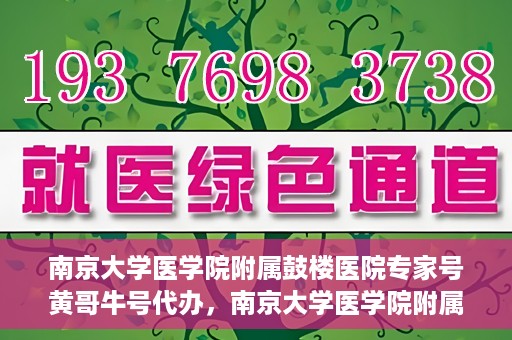 南京大学医学院附属鼓楼医院专家号黄哥牛号代办，南京大学医学院附属鼓楼医院专家号代办服务解析，黄哥牛号代办揭秘