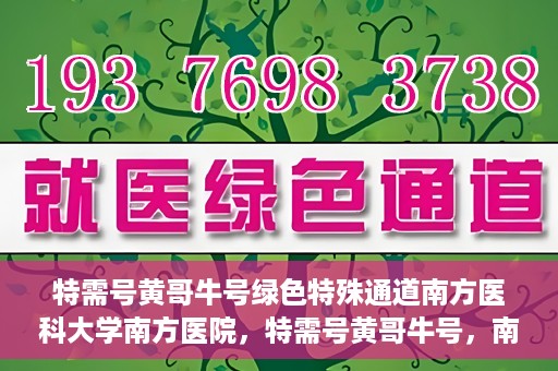 特需号黄哥牛号绿色特殊通道南方医科大学南方医院，特需号黄哥牛号，南方医科大学南方医院开启绿色特殊通道