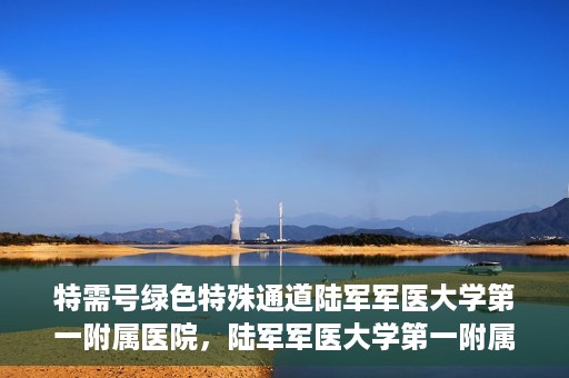 特需号绿色特殊通道陆军军医大学第一附属医院，陆军军医大学第一附属医院特需号绿色特殊通道，医疗服务的特殊通道与高效体验