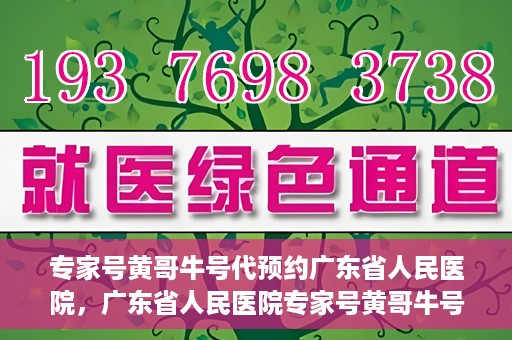 专家号黄哥牛号代预约广东省人民医院，广东省人民医院专家号黄哥牛号预约服务解析