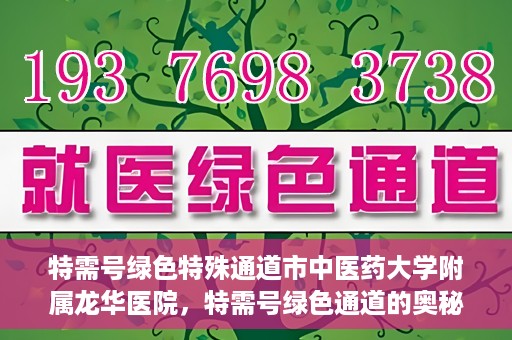 特需号绿色特殊通道市中医药大学附属龙华医院，特需号绿色通道的奥秘，市中医药大学附属龙华医院的医疗特色与优势