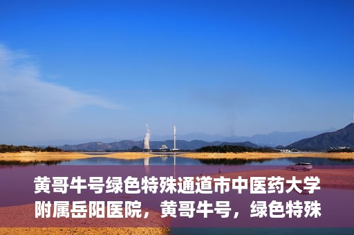 黄哥牛号绿色特殊通道市中医药大学附属岳阳医院，黄哥牛号，绿色特殊通道助力中医药大学附属岳阳医院健康前行