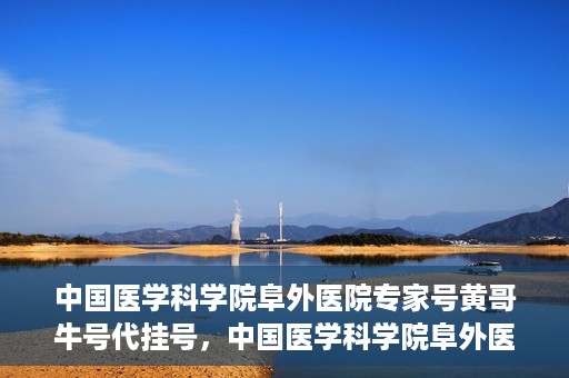 中国医学科学院阜外医院专家号黄哥牛号代挂号，中国医学科学院阜外医院专家黄哥牛号挂号攻略，专业解读与预约指南
