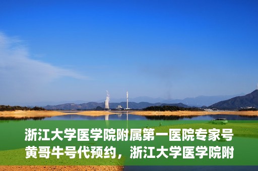 浙江大学医学院附属第一医院专家号黄哥牛号代预约，浙江大学医学院附属第一医院专家号黄哥牛号预约攻略