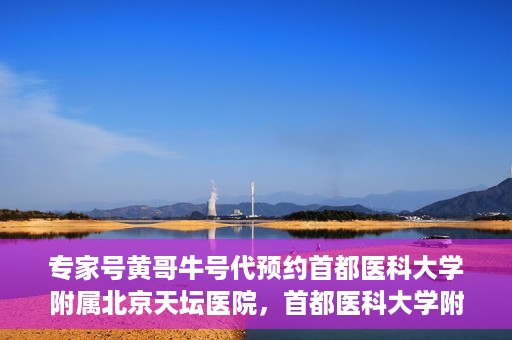 专家号黄哥牛号代预约首都医科大学附属北京天坛医院，首都医科大学附属北京天坛医院专家号预约服务黄哥牛号解析与预约指南