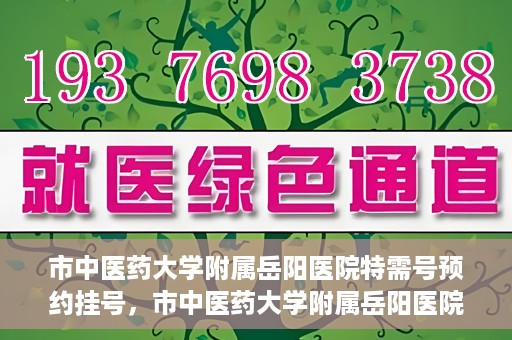 市中医药大学附属岳阳医院特需号预约挂号，市中医药大学附属岳阳医院特需号预约挂号服务详解