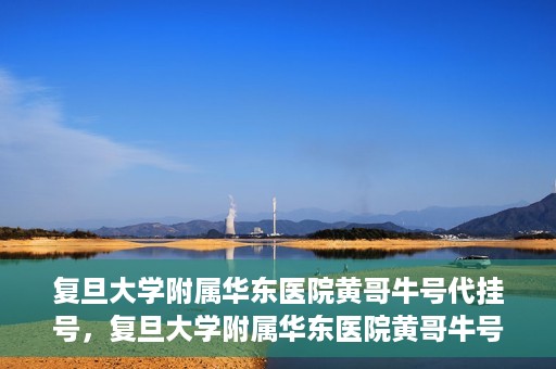 复旦大学附属华东医院黄哥牛号代挂号，复旦大学附属华东医院黄哥牛号代挂号解析与体验分享