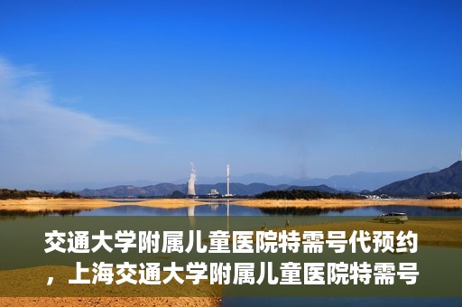 交通大学附属儿童医院特需号代预约，上海交通大学附属儿童医院特需号预约服务解析