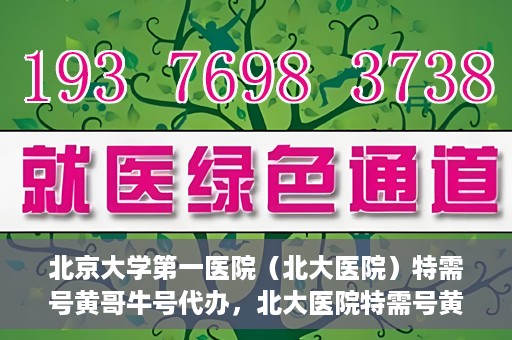 北京大学第一医院（北大医院）特需号黄哥牛号代办，北大医院特需号黄哥牛号代办，深度解析与揭秘