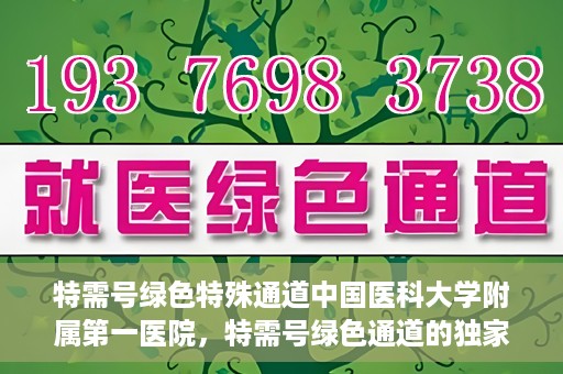 特需号绿色特殊通道中国医科大学附属第一医院，特需号绿色通道的独家实践，中国医科大学附属第一医院医疗服务的创新之路