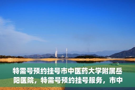 特需号预约挂号市中医药大学附属岳阳医院，特需号预约挂号服务，市中医药大学附属岳阳医院就医新体验