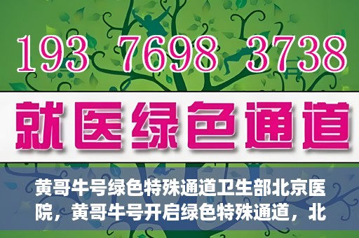 黄哥牛号绿色特殊通道卫生部北京医院，黄哥牛号开启绿色特殊通道，北京医院卫生部全力支持创新服务