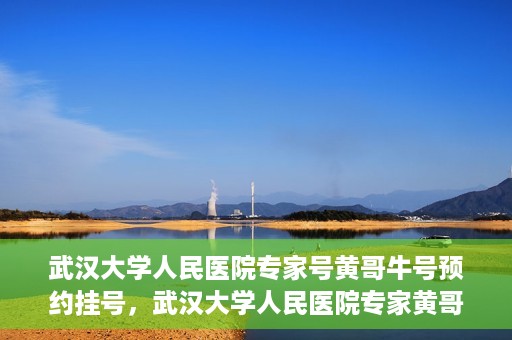 武汉大学人民医院专家号黄哥牛号预约挂号，武汉大学人民医院专家黄哥牛号预约挂号攻略