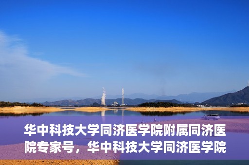 华中科技大学同济医学院附属同济医院专家号，华中科技大学同济医学院附属同济医院专家号解析，权威医疗团队的专业解读