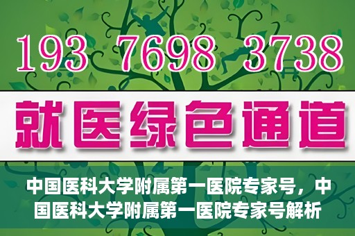 中国医科大学附属第一医院专家号，中国医科大学附属第一医院专家号解析，权威医疗团队的专业解读与诊疗服务