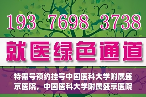 特需号预约挂号中国医科大学附属盛京医院，中国医科大学附属盛京医院特需号预约挂号服务详解