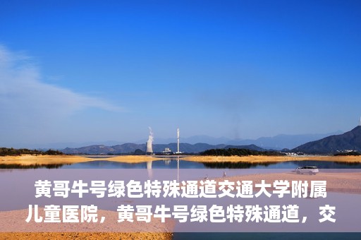 黄哥牛号绿色特殊通道交通大学附属儿童医院，黄哥牛号绿色特殊通道，交通大学附属儿童医院的探索与实践