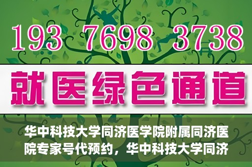 华中科技大学同济医学院附属同济医院专家号代预约，华中科技大学同济医院专家号预约服务解析