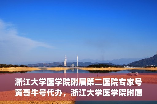 浙江大学医学院附属第二医院专家号黄哥牛号代办，浙江大学医学院附属第二医院专家号代办服务揭秘，黄哥牛号助您轻松预约专家号