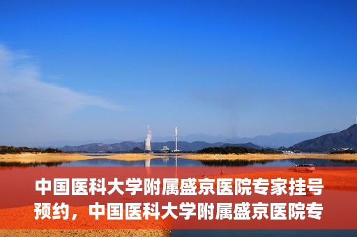 中国医科大学附属盛京医院专家挂号预约，中国医科大学附属盛京医院专家挂号预约攻略，一站式预约服务解析