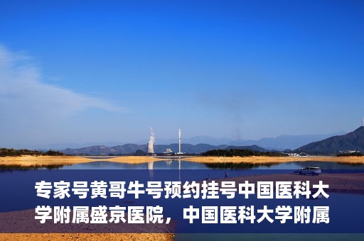 专家号黄哥牛号预约挂号中国医科大学附属盛京医院，中国医科大学附属盛京医院专家号黄哥牛号预约挂号指南